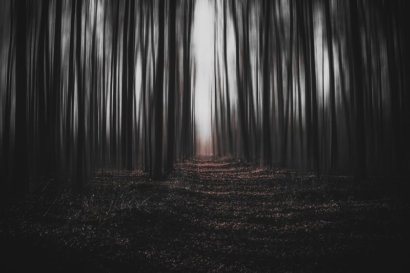 Time Paradox